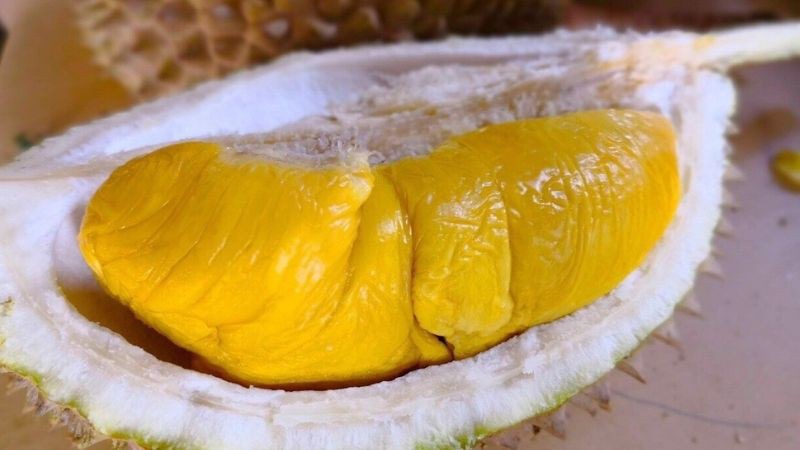 Giá sầu riêng Musang King bao nhiêu? Mua ở đâu?