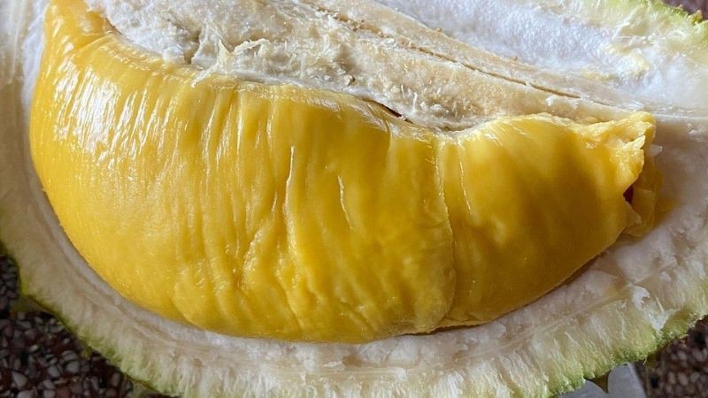 Điểm đặc trưng của sầu riêng Musang King