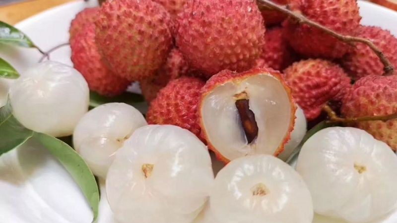 Vải thiều có tác dụng tăng cường chức năng miễn dịch
