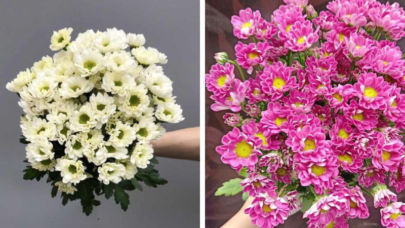 Nguồn gốc, ý nghĩa