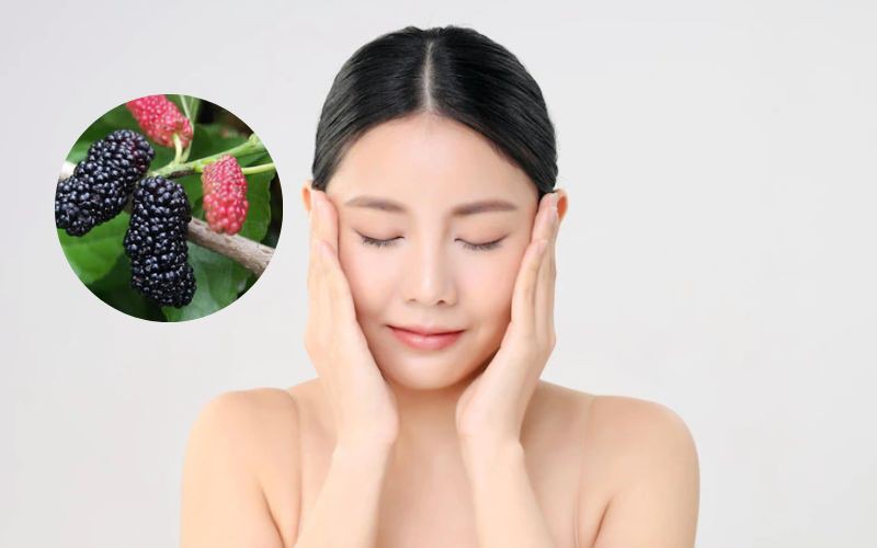 Tổng hợp các loại lá dùng trong các bài thuốc Nam giúp trị nám hiệu quả