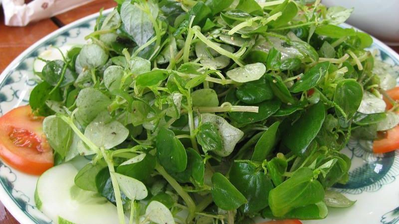 Gỏi rau càng cua dầu giấm
