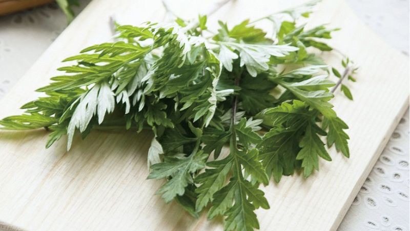 Công dụng của ngải cứu trong việc trị thâm quầng mắt