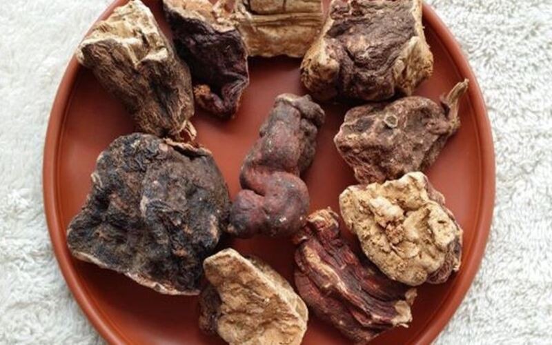 Hà thủ ô sau khi sắc nước có nhiều công dụng quan trọng