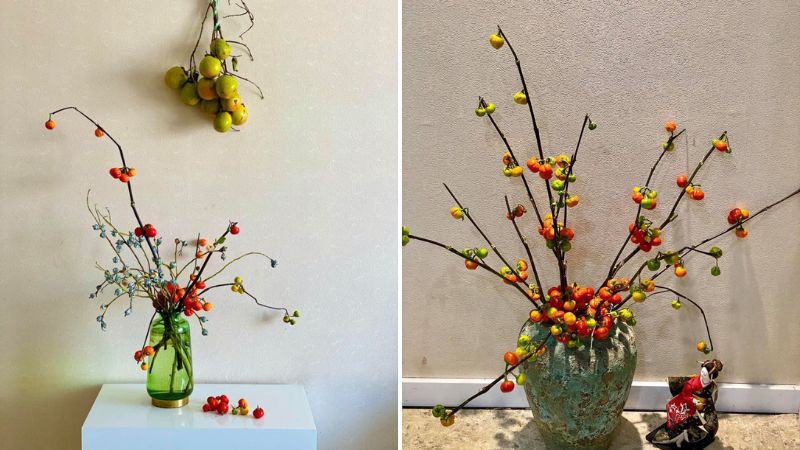 Cành cà chua kiểng